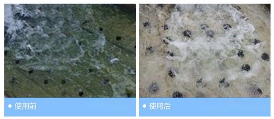 中浩遠(yuǎn)達(dá)|循環(huán)冷卻水菌藻水處理