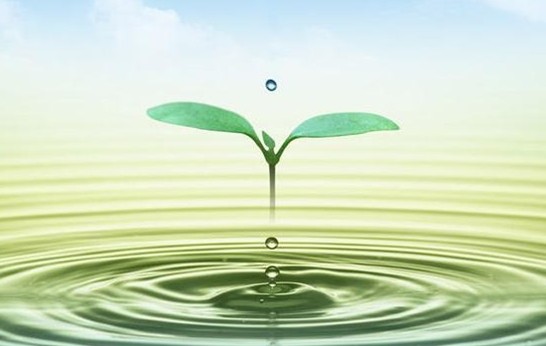 中浩遠(yuǎn)達(dá)|微生物殺菌劑使用注意